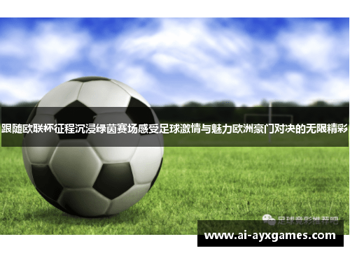 跟随欧联杯征程沉浸绿茵赛场感受足球激情与魅力欧洲豪门对决的无限精彩