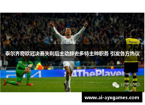 泰尔齐奇欧冠决赛失利后主动辞去多特主帅职务 引发各方热议 泰尔齐奇欧冠决赛失利后主动辞去多特主帅职务 引发各方热议